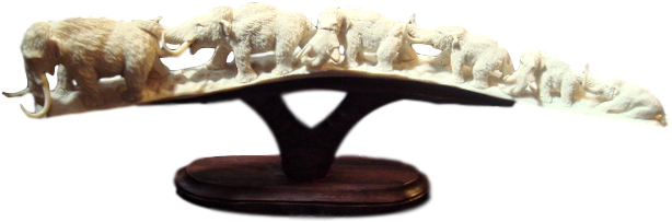 Deer Antler Carved Mammoth - Bench (640x480), Png Download