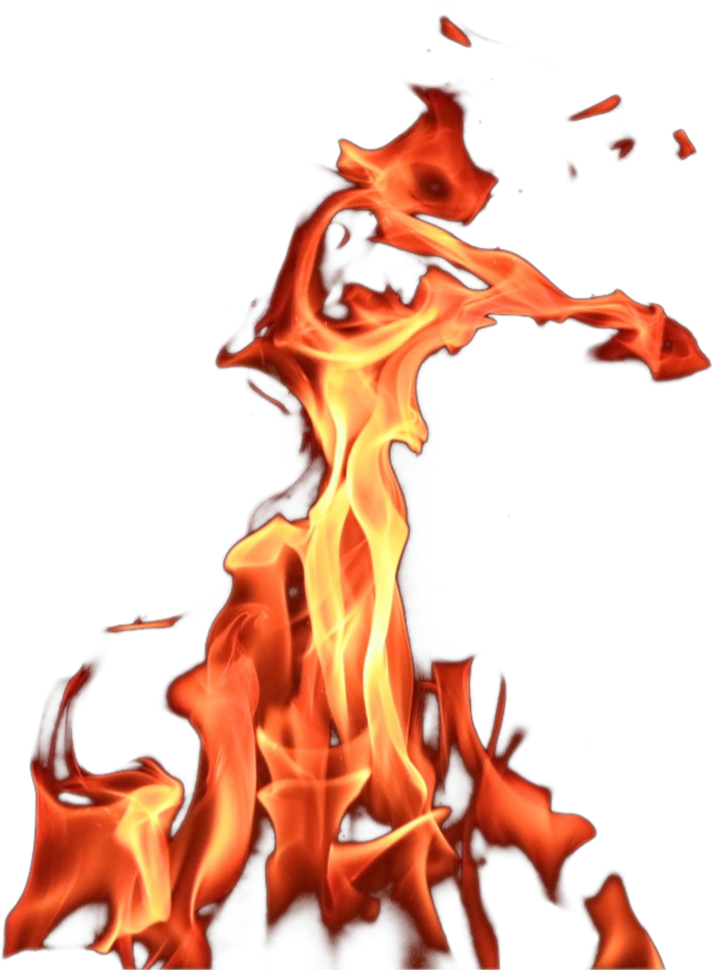 Report Abuse - Illustration (1024x1365), Png Download