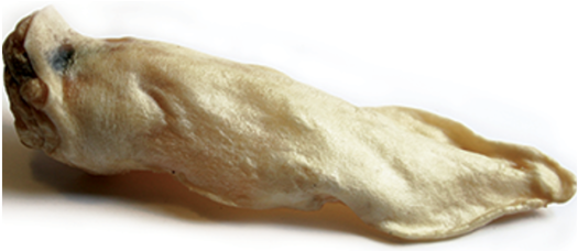 Home / Dog / Dog Treats / Jr Pet Products - Paw (600x601), Png Download