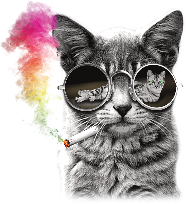 Cat With Rainbow Glasses (675x675), Png Download
