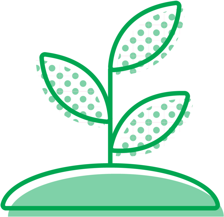 Seedling (1000x1001), Png Download