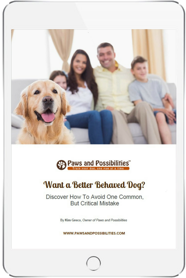 Dog Training - Golden Retriever (816x1056), Png Download