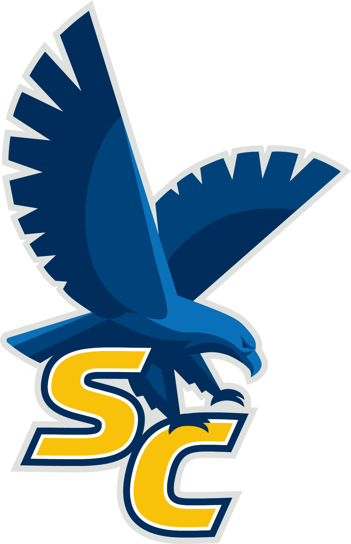 High School Athletics Sheboygan County Christian School (1143x1771), Png Download