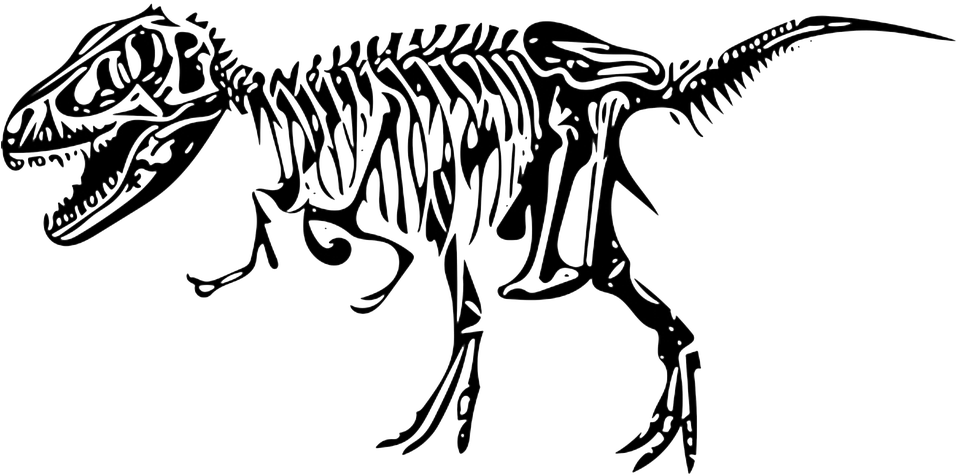 Clipart Black And White Library Clipart Dino Free On - Esqueleto Dinossauro Png (960x540), Png Download