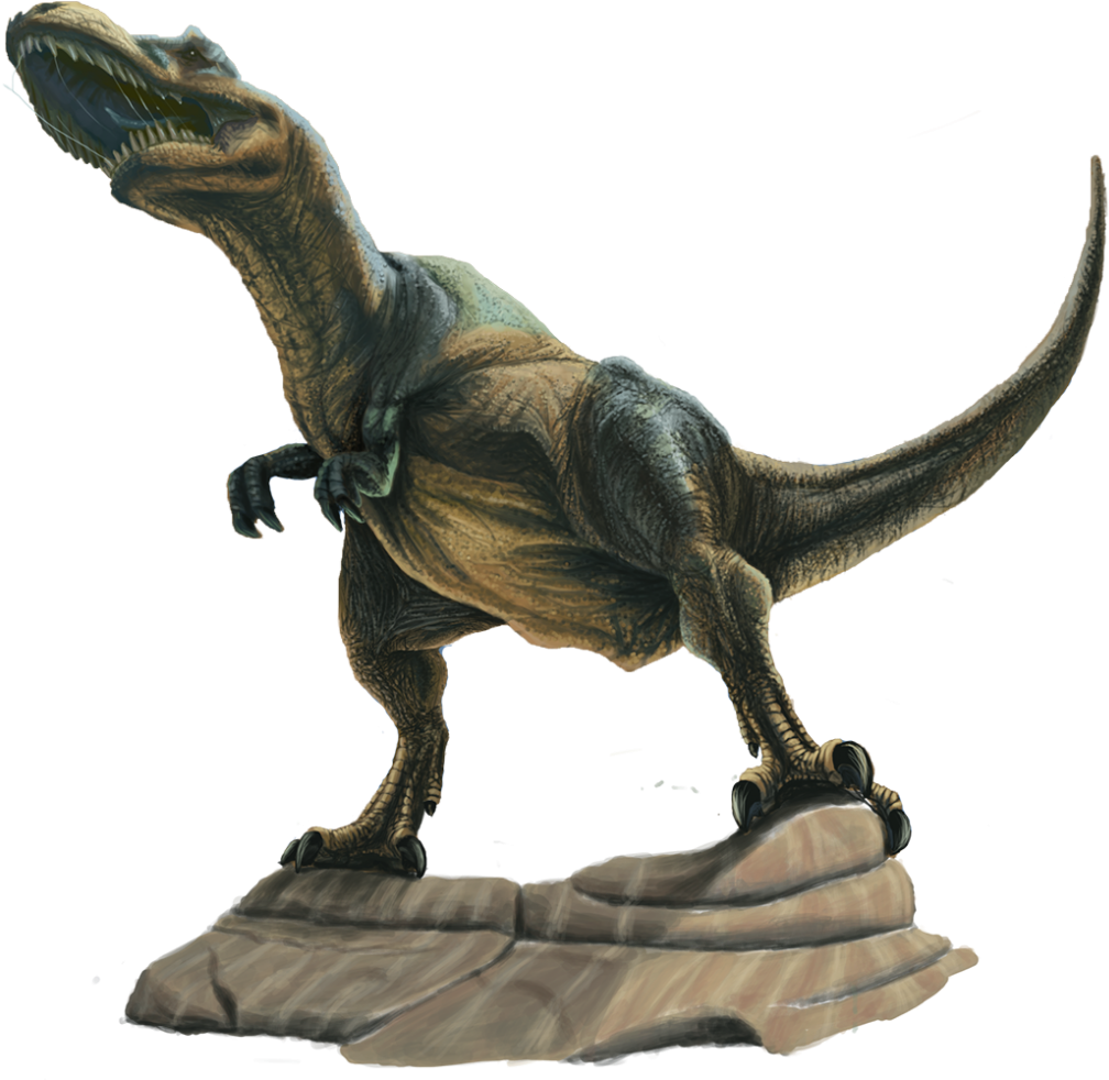 T Rex - Tyrannosaurus (1024x981), Png Download