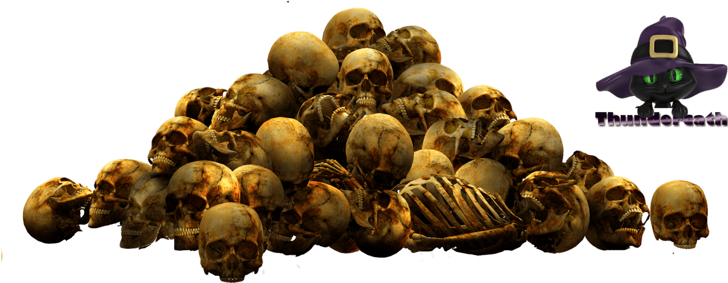 Attalea Speciosa (1600x1143), Png Download