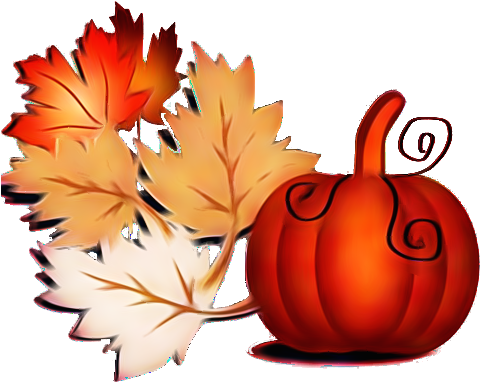 Pumpkin Png, Fall Pumpkins - Thank You Thanks Giving (560x688), Png Download
