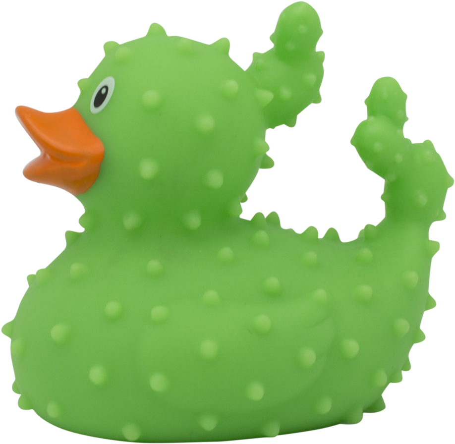 Cactus Rubber Duck By Lilalu - Duck (918x896), Png Download
