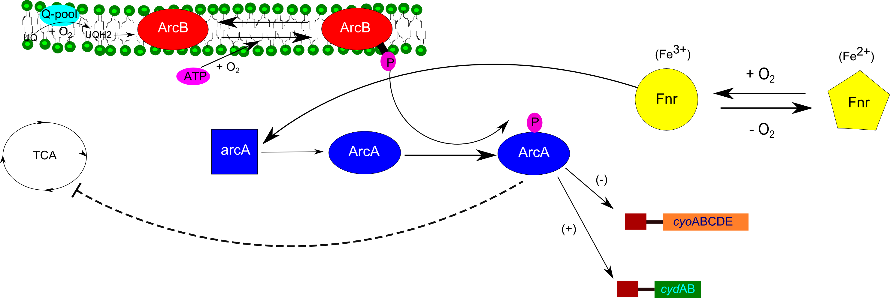 Arc Regulation - Diagram (2964x993), Png Download