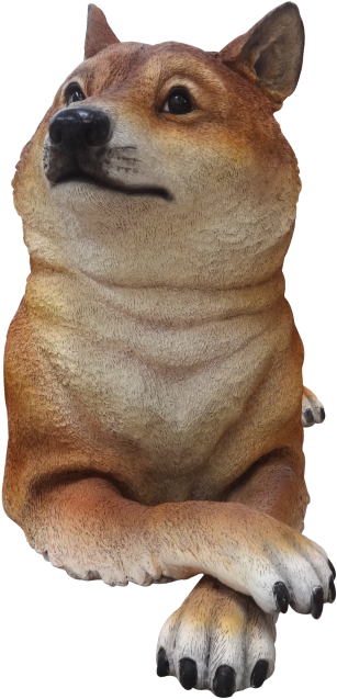 Doge - Hokkaido (500x667), Png Download