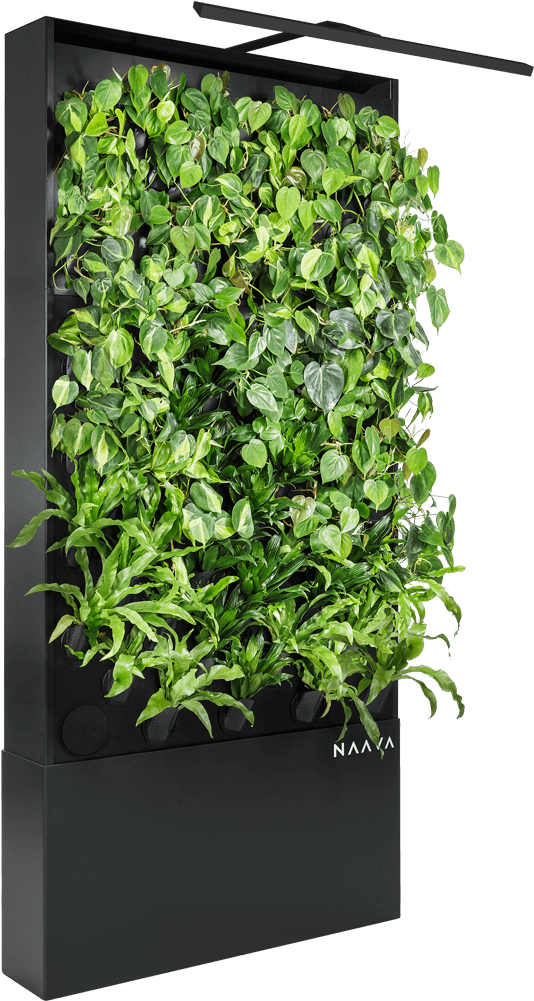 Naava One Slim Graphite Black Oblique Vertical Garden - Houseplant (640x1120), Png Download
