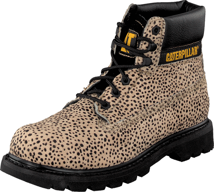 Colorado Black Dot Print Hair Calf - Shoe (705x632), Png Download