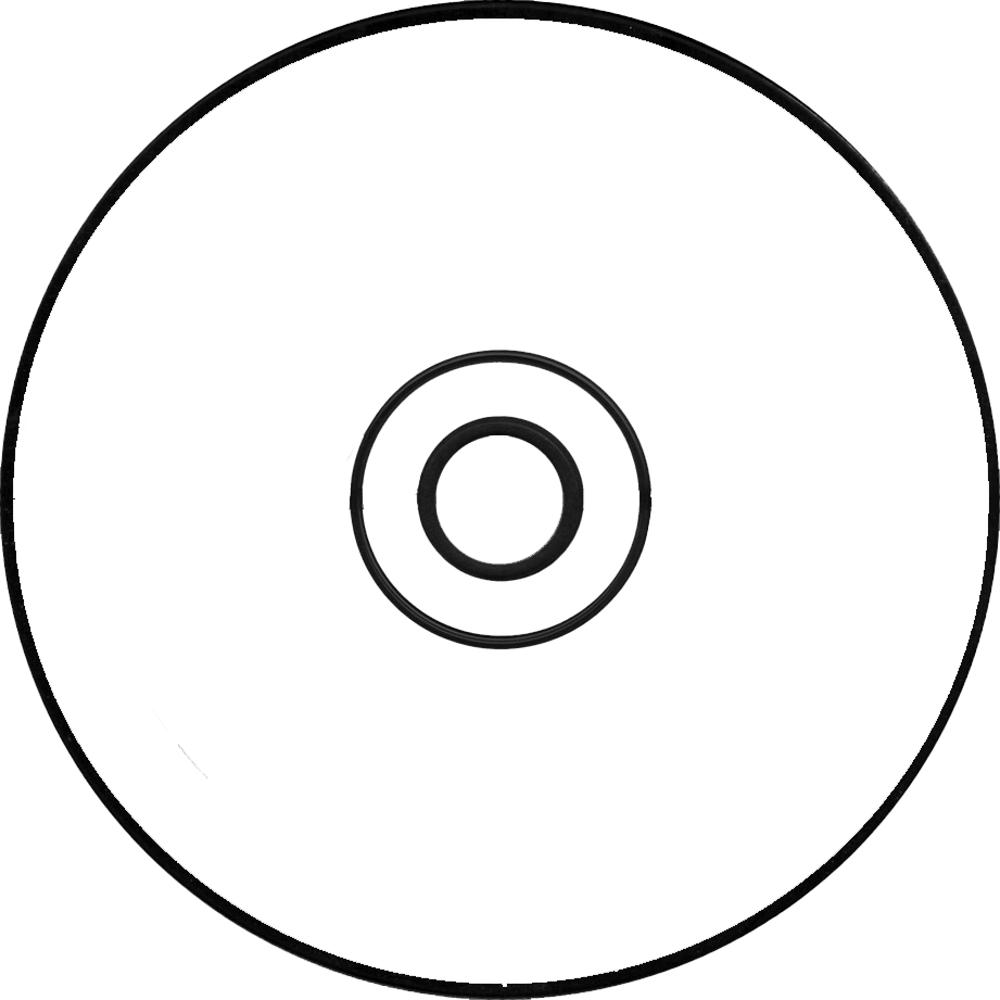 Imagenes Png De Frutillita Imagui Imagenes Png De Selena - Formato Para Cd Png (921x921), Png Download