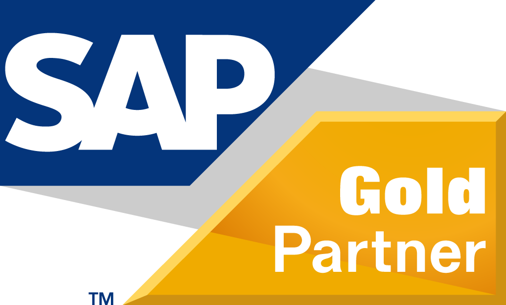 Sap By Viseo - Sap Gold Partner Indonesia (1022x616), Png Download