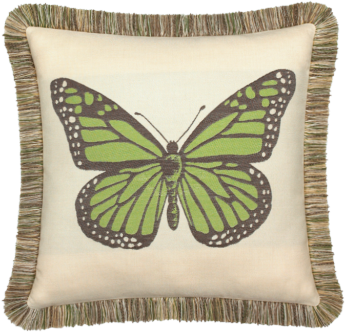 Login - Butterfly Bleeding (800x800), Png Download