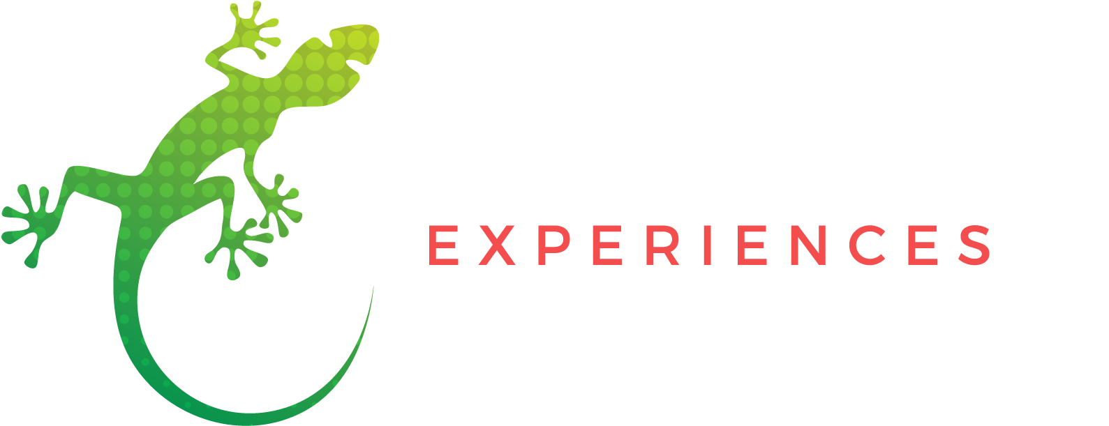 Logo Footer - Green Iguana (1793x709), Png Download