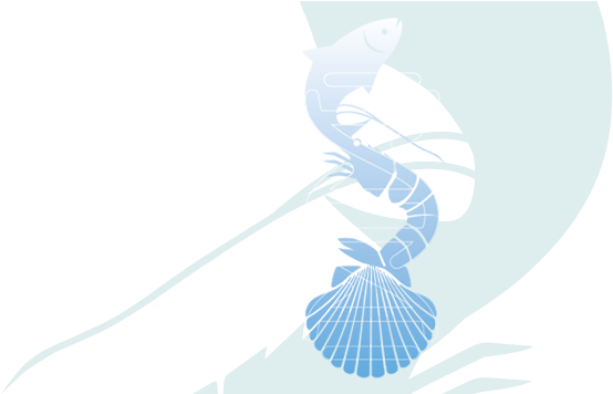 Bio-rad Vibrio - Illustration (960x355), Png Download