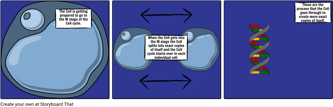 Biology Project Pt2 - Cartoon (1164x385), Png Download