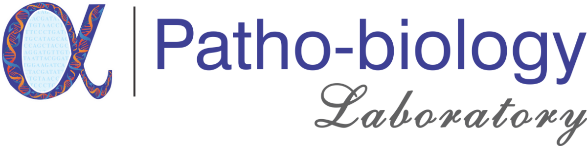 Patho Biology Logo 0 - Calligraphy (1200x300), Png Download