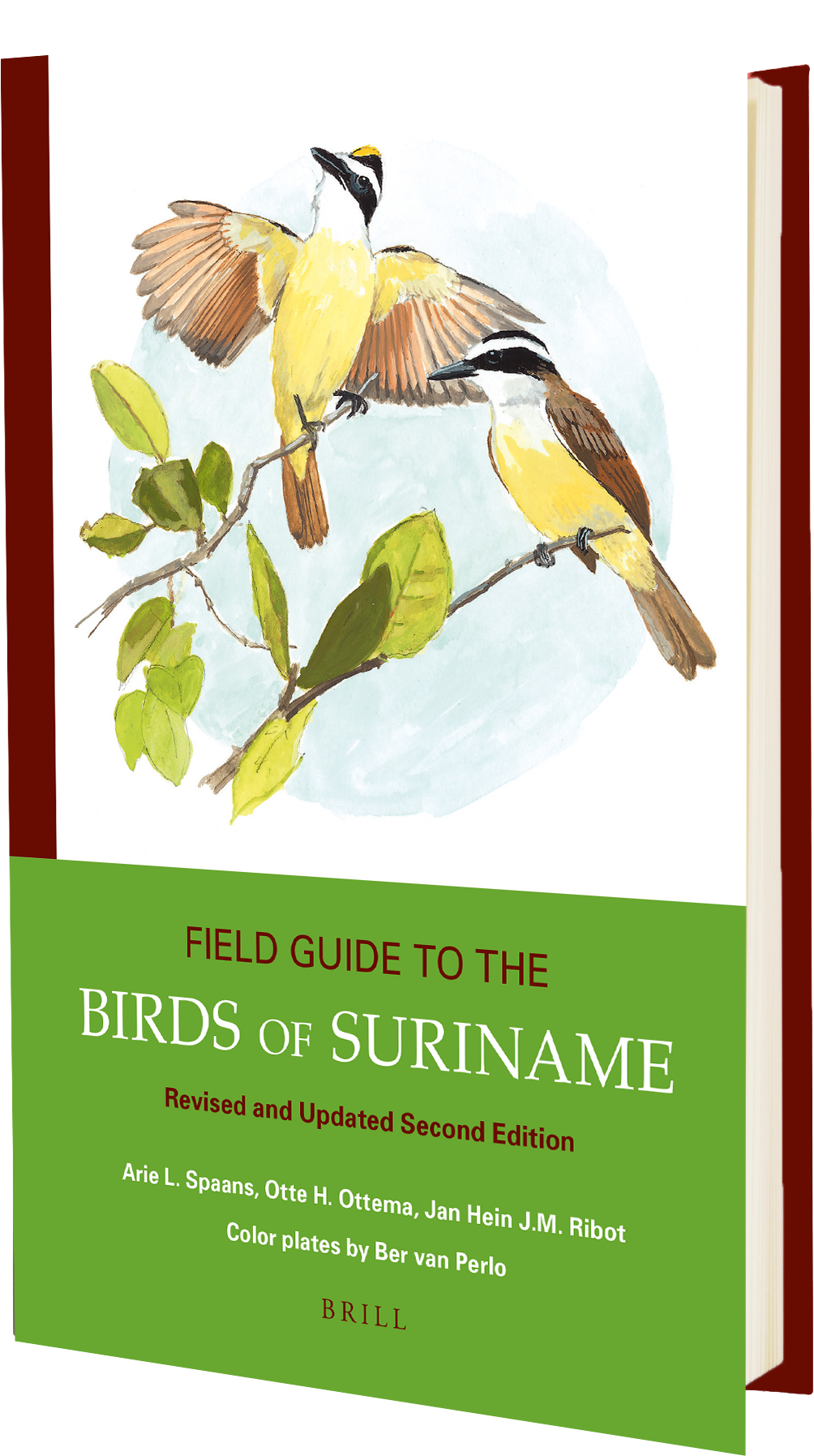 Birds Of Suriname Book (1411x2125), Png Download