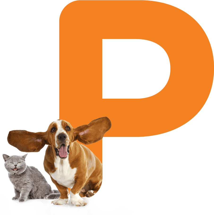 Pet Lovers (906x911), Png Download