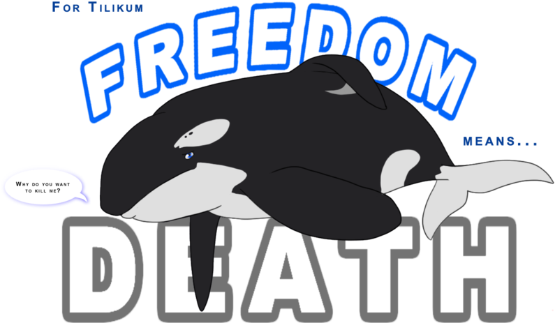 Orca Clipart Sad (900x590), Png Download