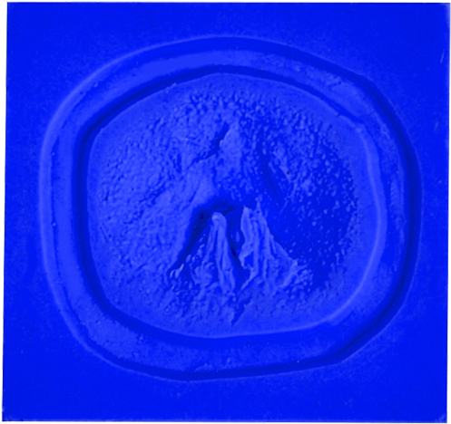 Zombie Nose Mold - Emblem (800x800), Png Download