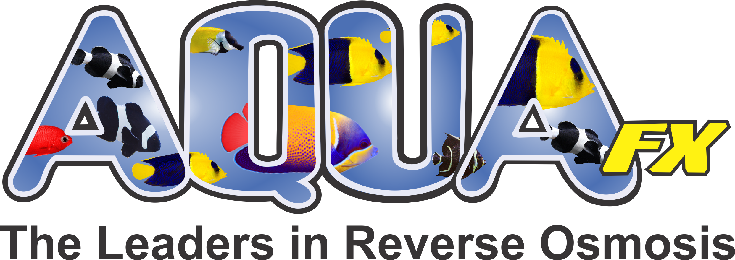 Graphic Design (2484x880), Png Download