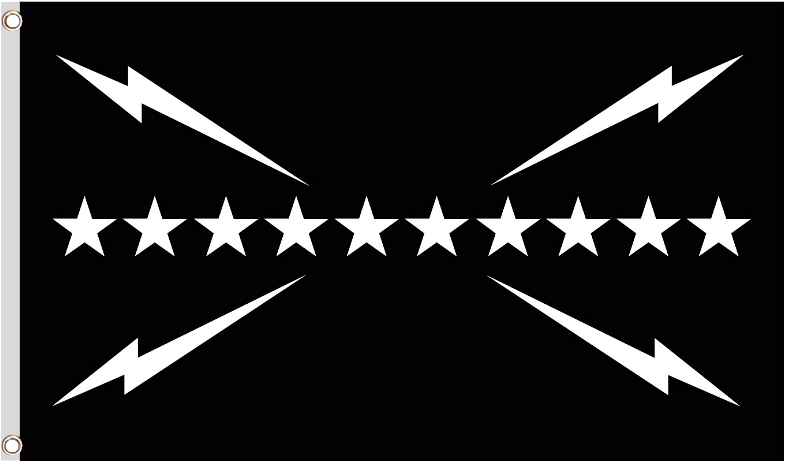 Black Flag Png (800x800), Png Download