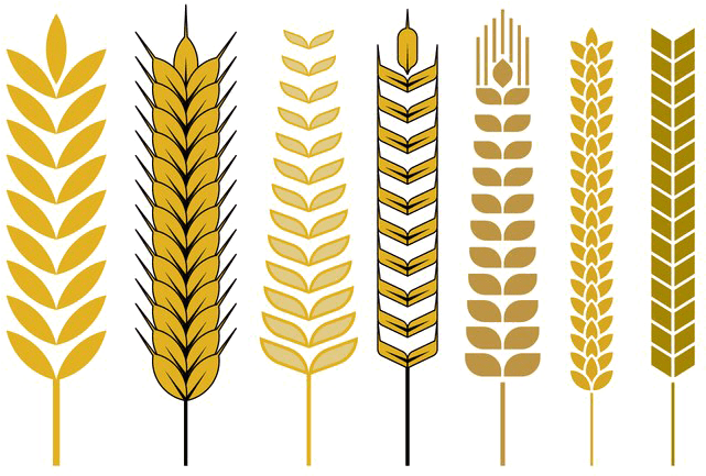 Cereal Vector Png Free (700x490), Png Download