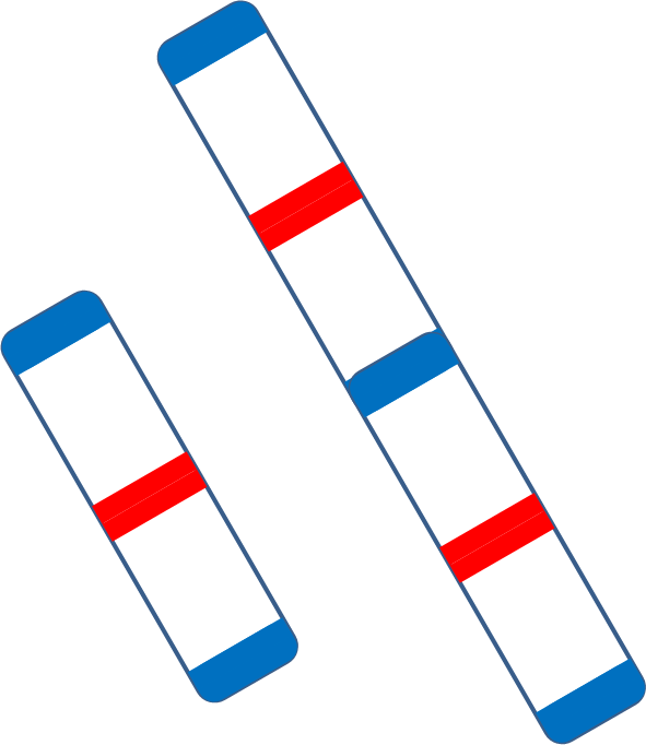 Clip Art (591x682), Png Download