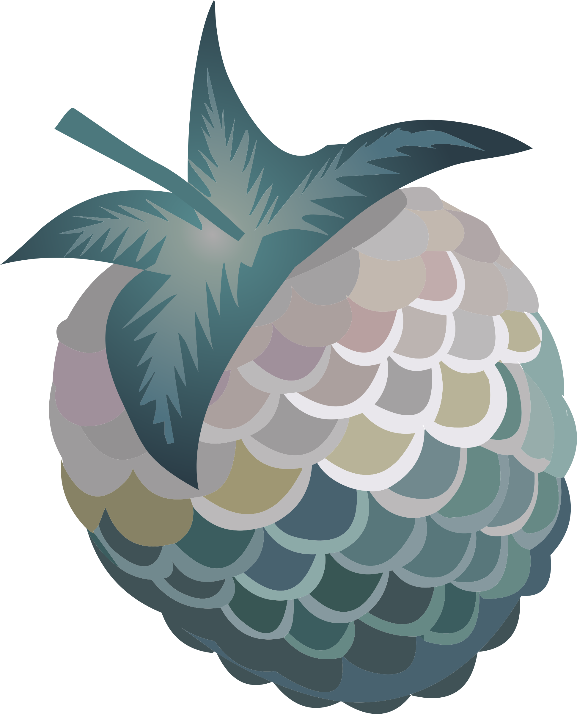 This Free Icons Png Design Of Food Tuna Berry (1941x2400), Png Download