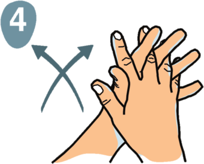¿cómo Lavarse Las Manos - Lavado De Manos Para Colorear (943x673), Png Download