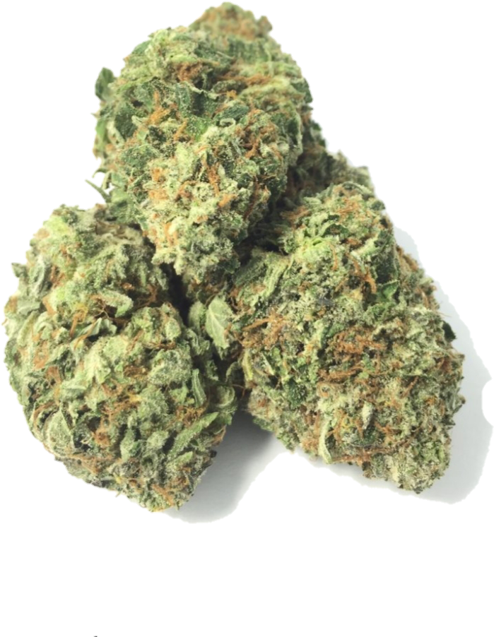 Death Tuna Indica The Healing Co - Muthia (1038x1070), Png Download