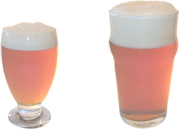 Cougar - Pint Glass (1009x516), Png Download