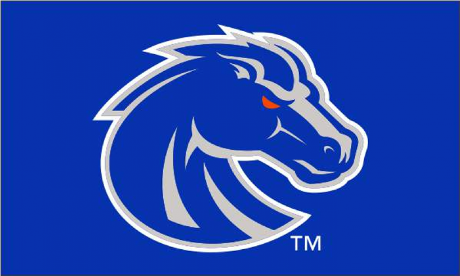 Boise State Broncos Black (940x940), Png Download