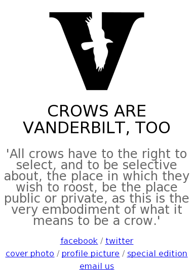 Crows Are Vanderbilt, Too Competitors, Revenue And - Poster (1024x768), Png Download