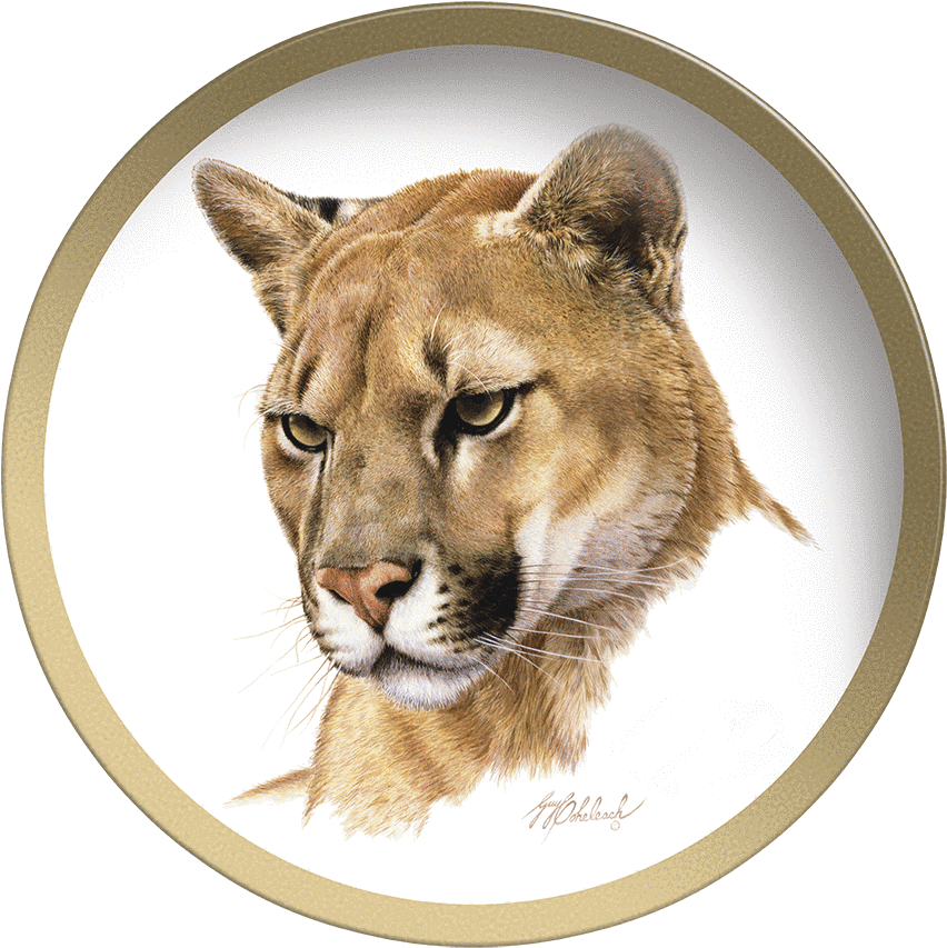 Guy Coheleach (1000x1000), Png Download