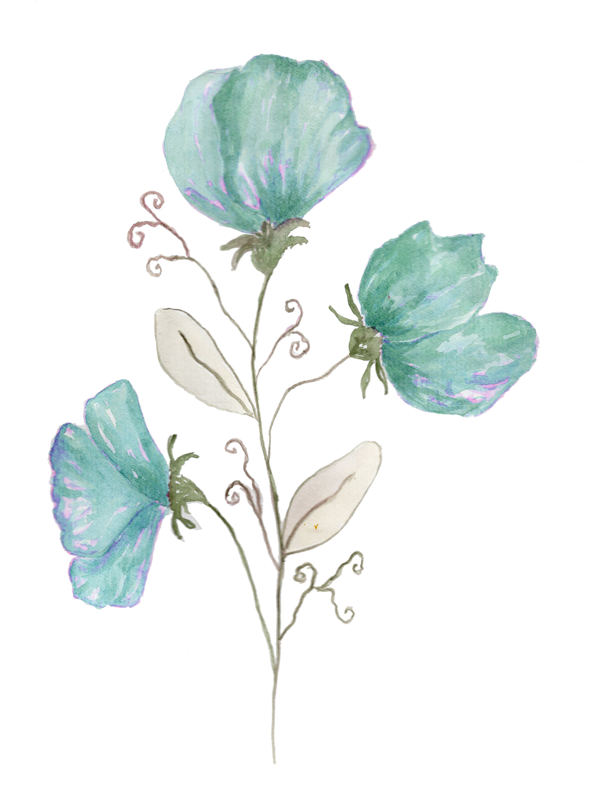 Яндекс - Фотки - Buttercup (1177x1600), Png Download