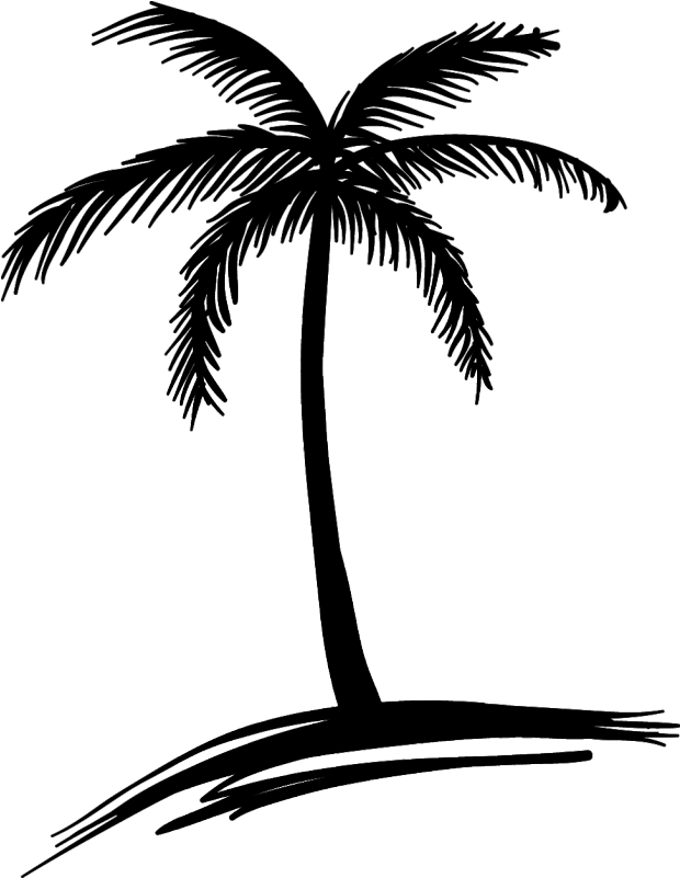Palm Stickers Tree Sticker Beach Adhesives Adhesive - Small Palm Tree Drawing (800x800), Png Download