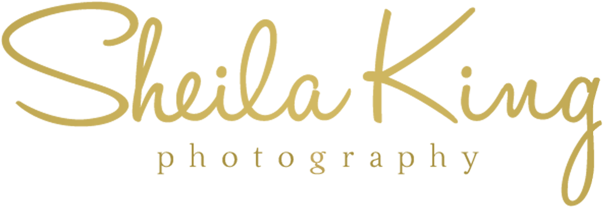 Sheila King Photography - Lillstreet Art Center (2000x2000), Png Download