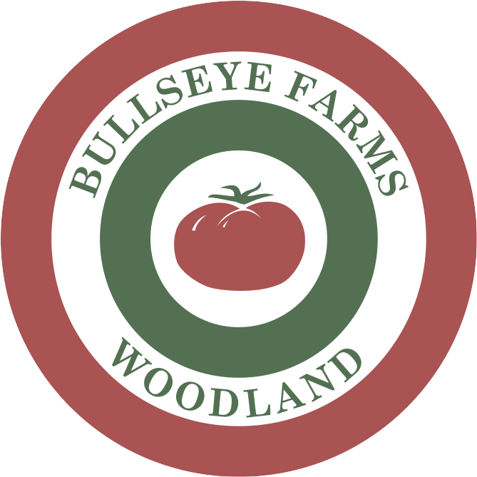 Bullseye5k Transparent - European (669x669), Png Download