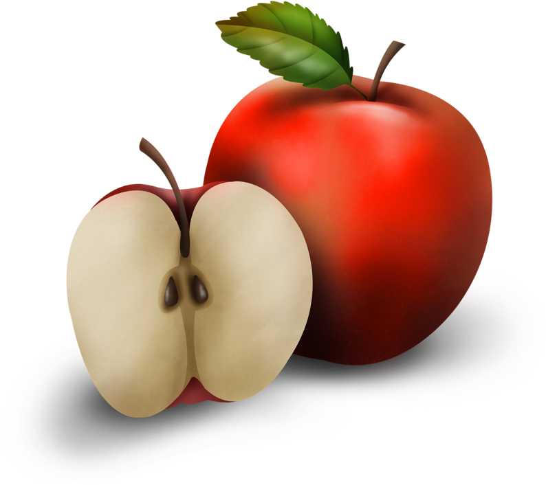 Fruits Clipart Tropical Fruit - แอ ป เปิ้ ล ผ่า ครึ่ง (600x557), Png Download