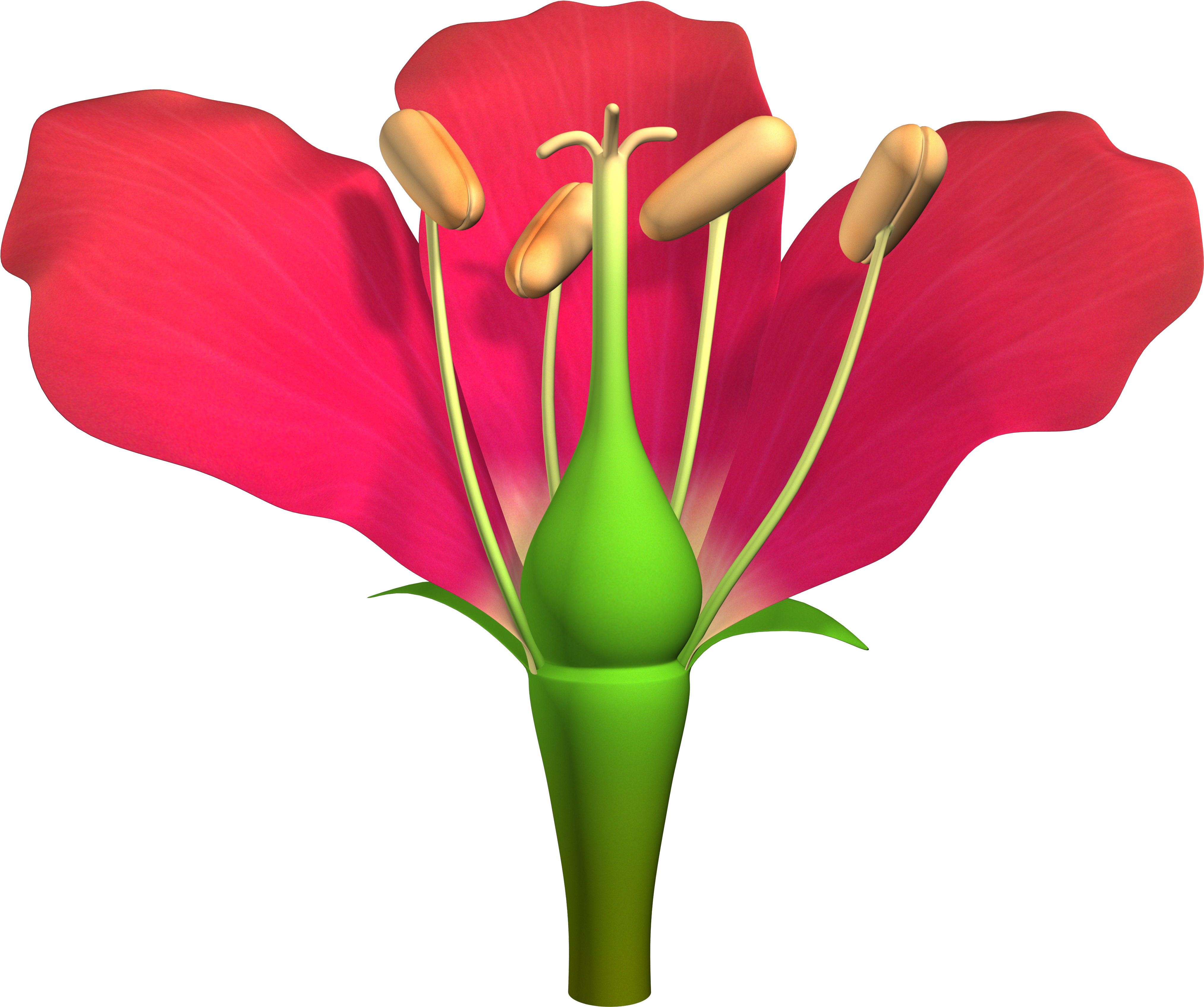 136 Parts Of Flower 01 Lit (4096x4096), Png Download