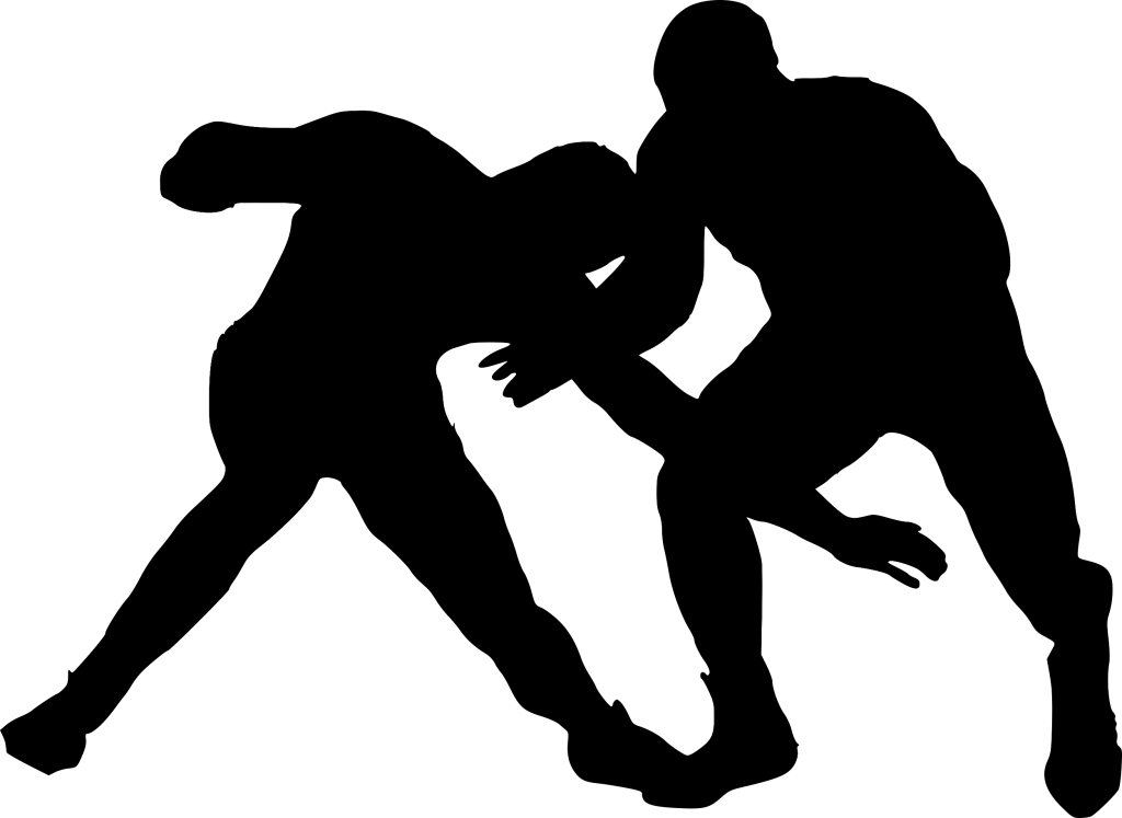 Free Png Sport Wrestling Silhouette Png Images Transparent - Wrestling Silhouette (850x621), Png Download