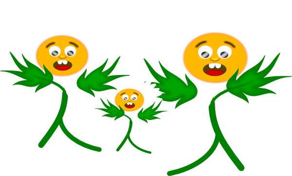 How To Set Use Scared Daisies Clipart (600x362), Png Download