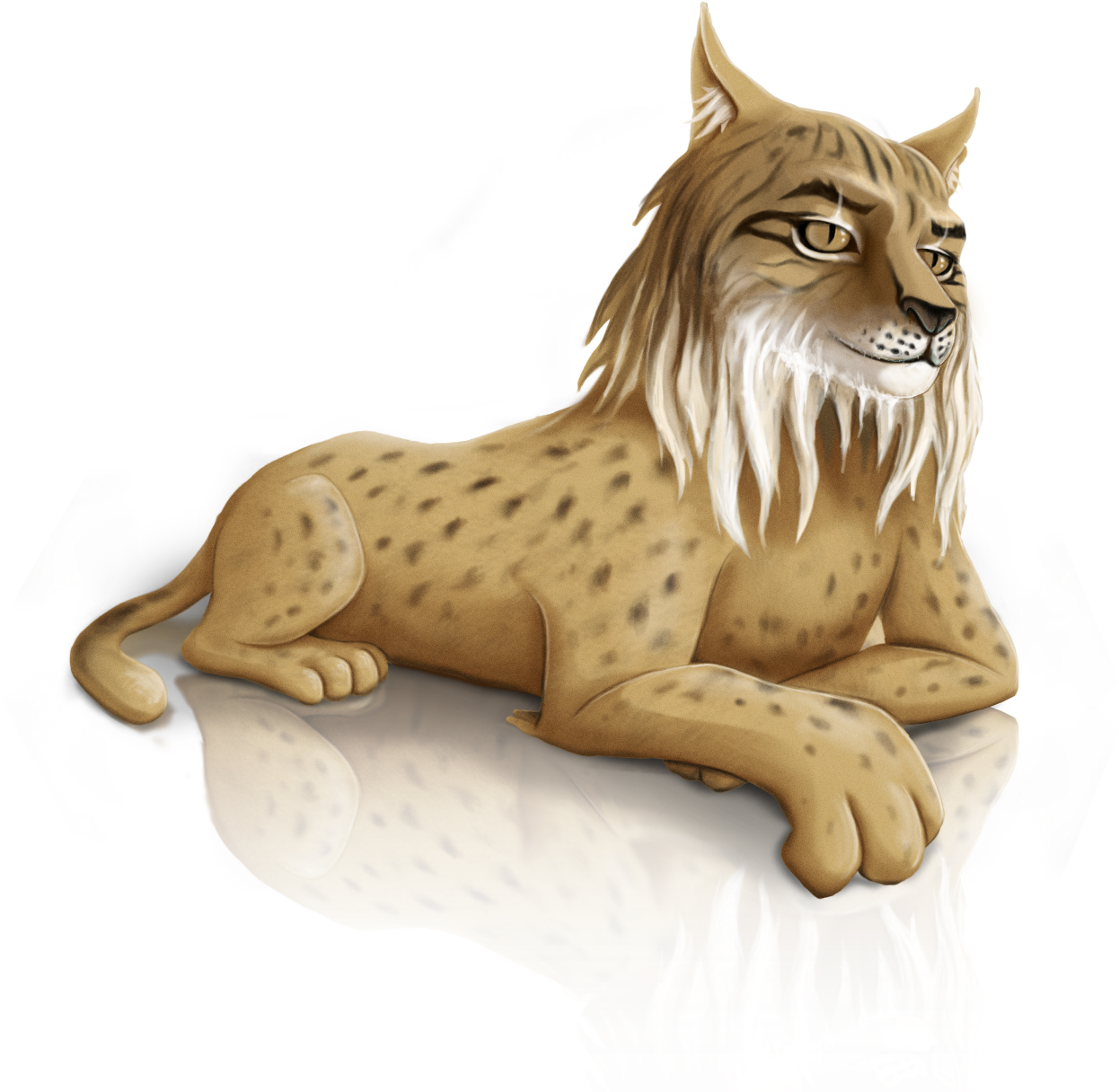 Iberian Lynx Png (1263x1232), Png Download