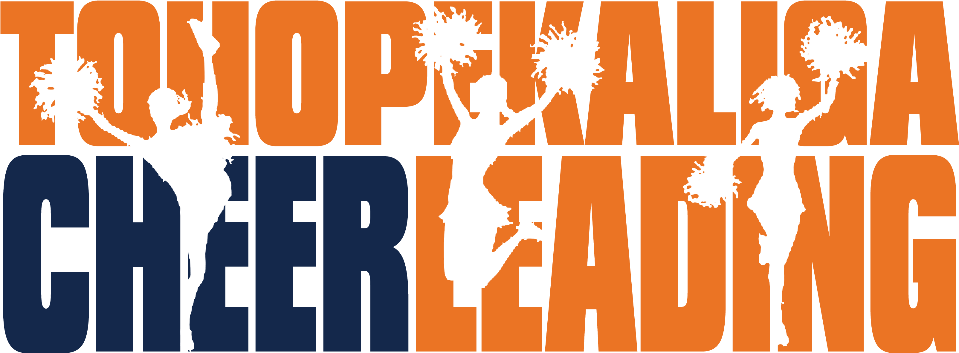 Toho Cheer Banner Image - Cheerleading (3300x1334), Png Download