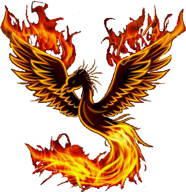 Adult Coloring Books Birds, Butterfly And Flowers: (736x868), Png Download