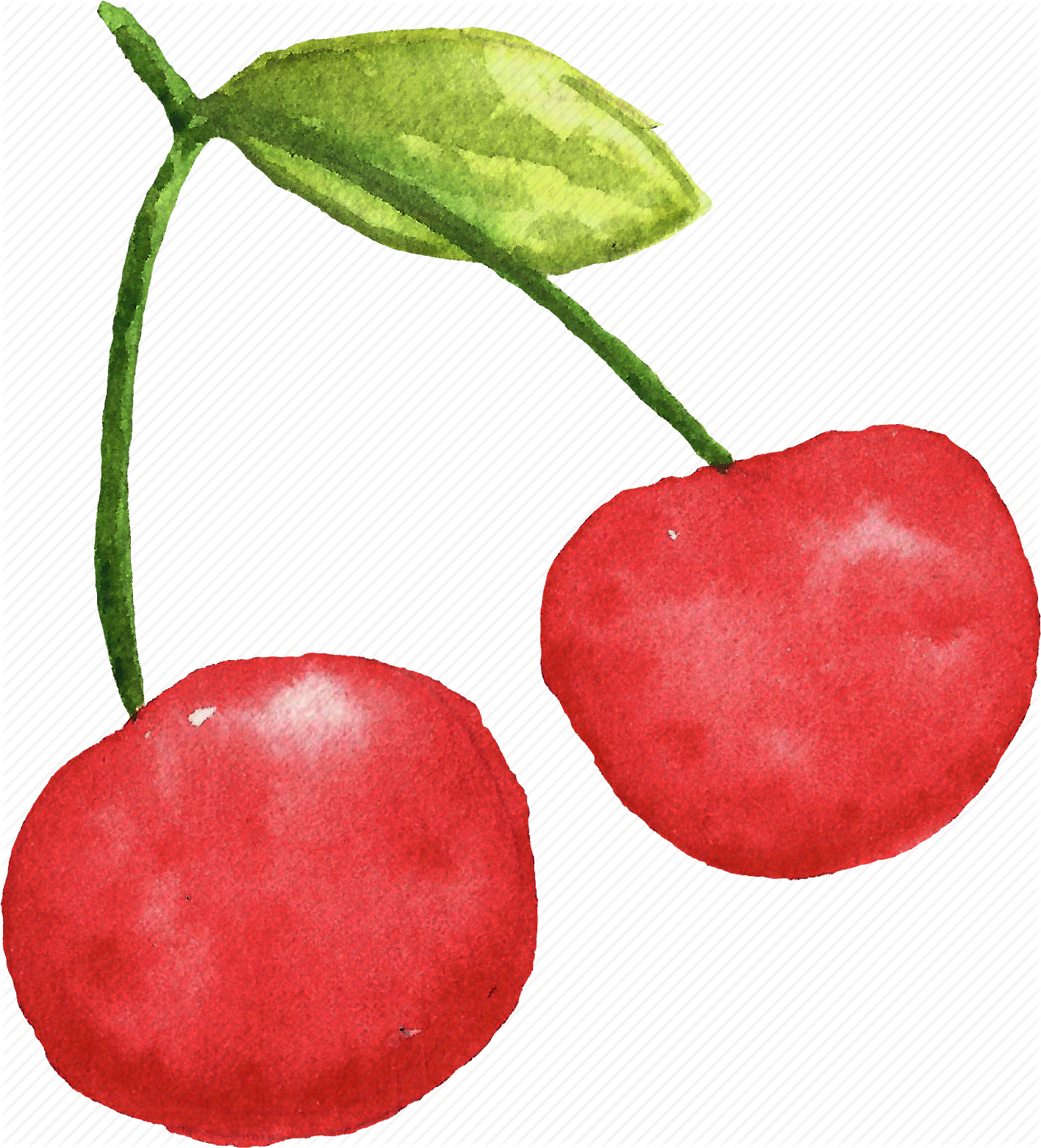 Cherry, Cuisine, Food, Fruit, Fruits, Watercolor, Watercolors - Cherry Watercolor Png (1416x1562), Png Download